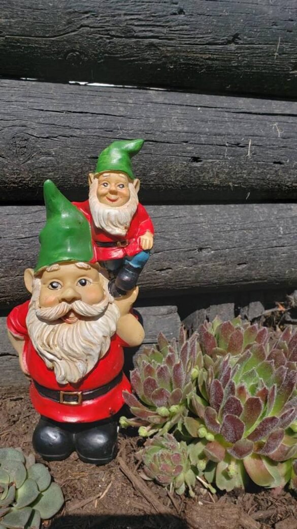 Green Hat gnome on gnome