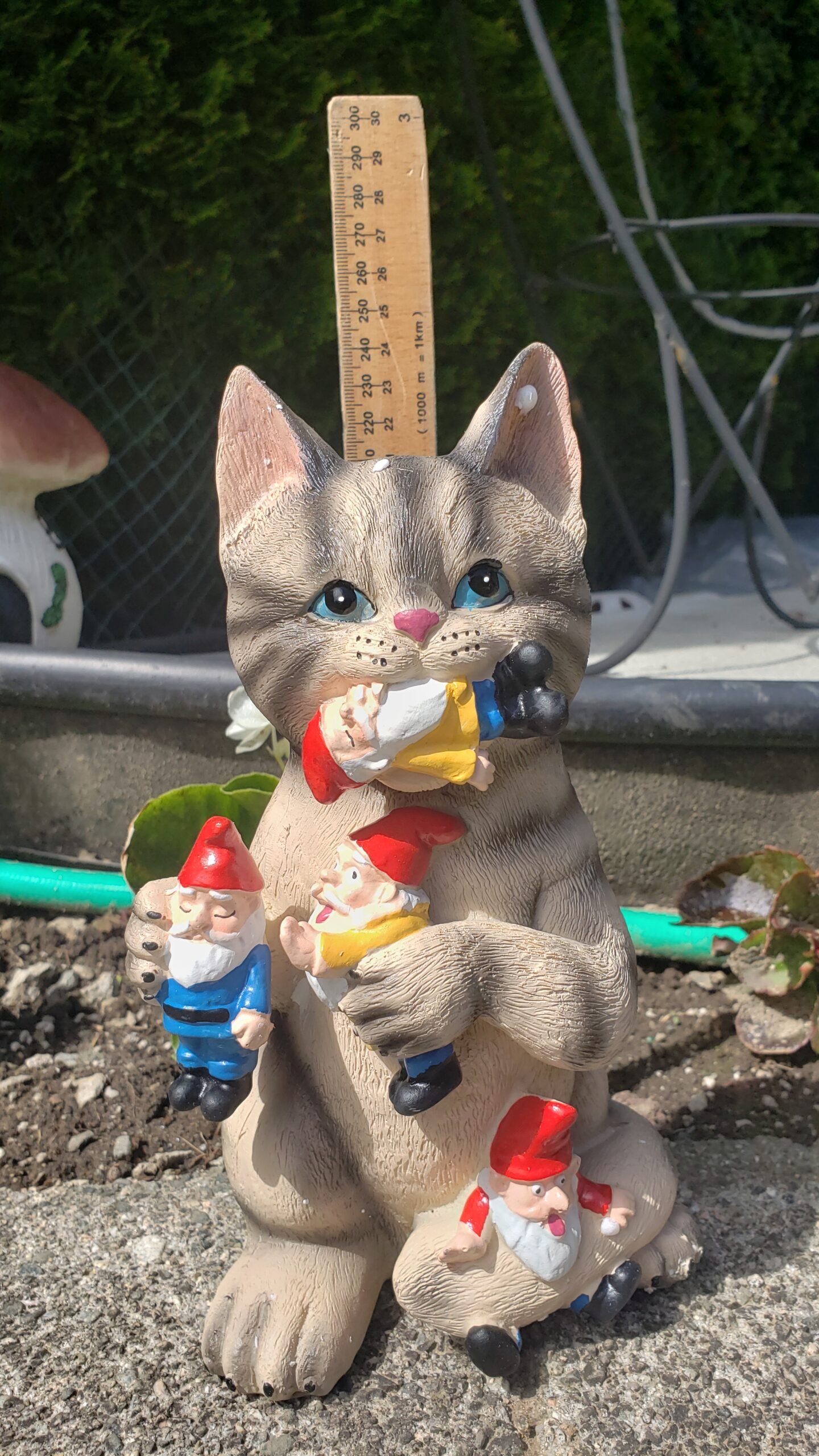 Garden Gnomes Captured by Cat The Gnome Shop