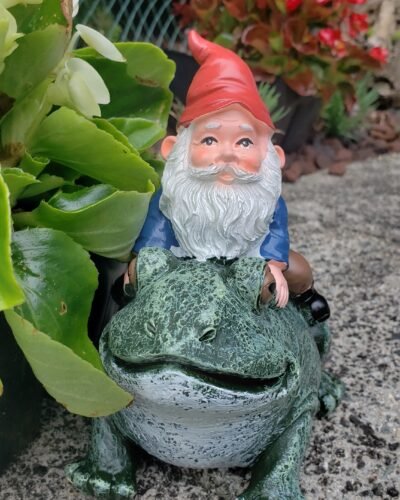 GNOME RIDING FROG