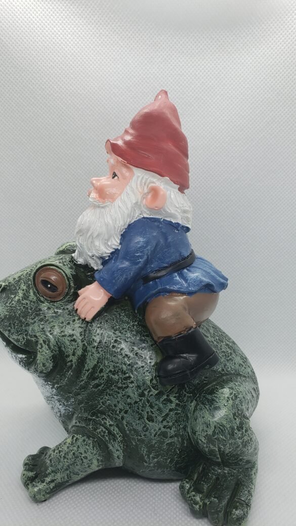 Gnome ridiing a from