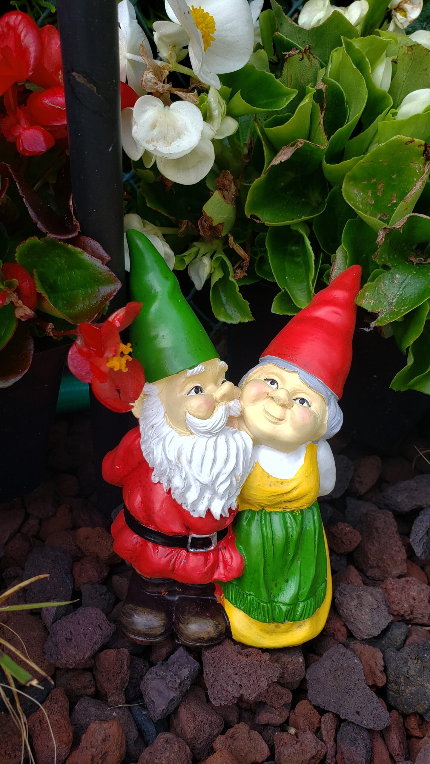 Couple Gnomes Standing - Gnome Couple