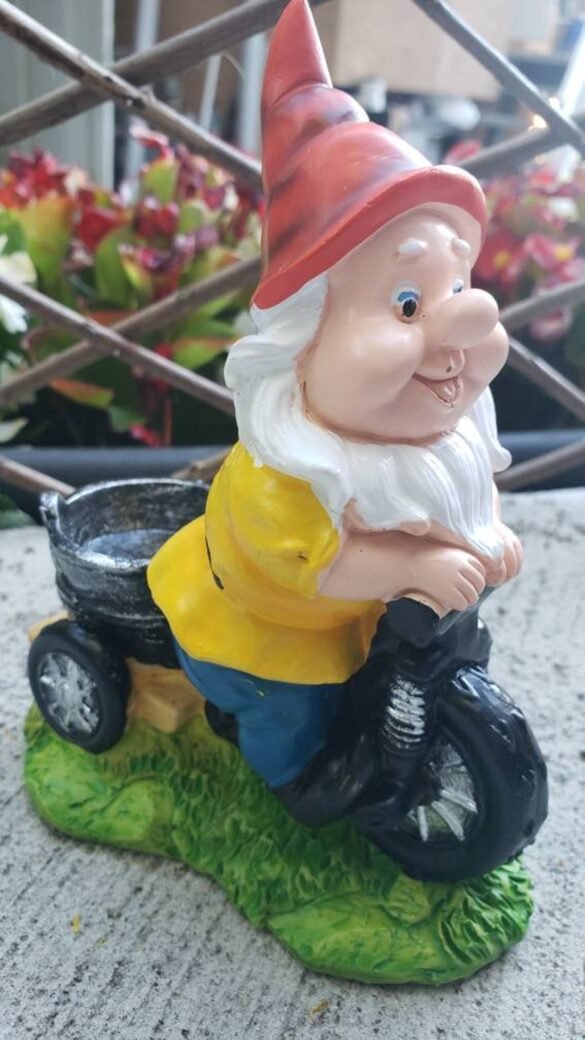 Gnome on Tricycle