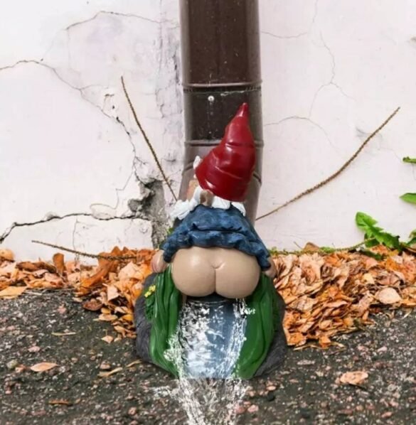 Gutter Gnome