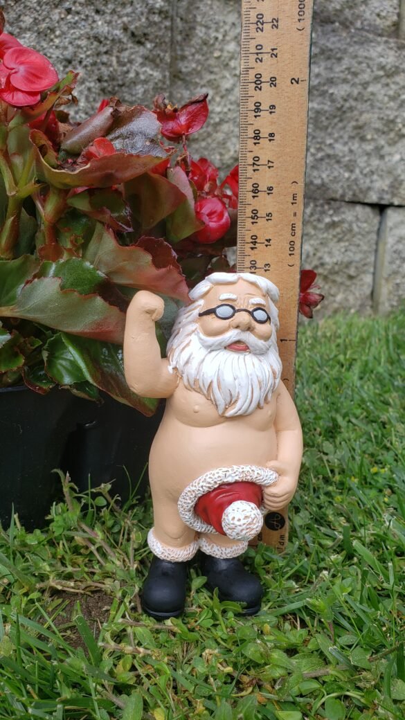 SANTA GNOME