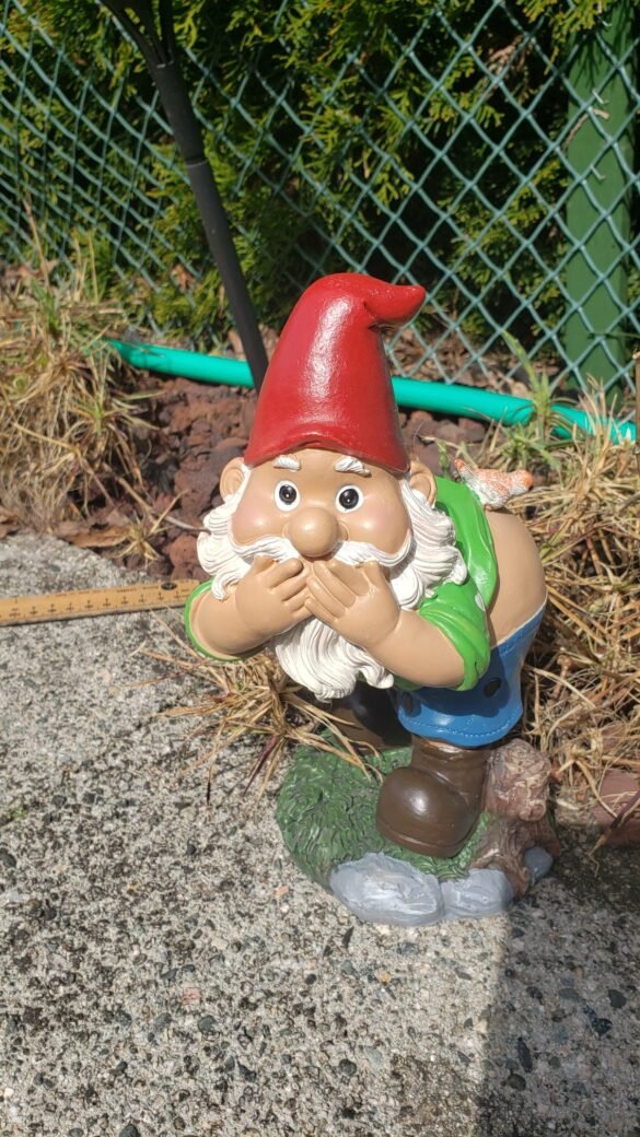 Gnome in Shock