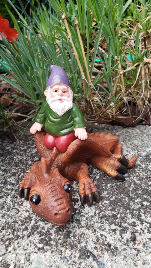 Mini Gnome Riding Dragon