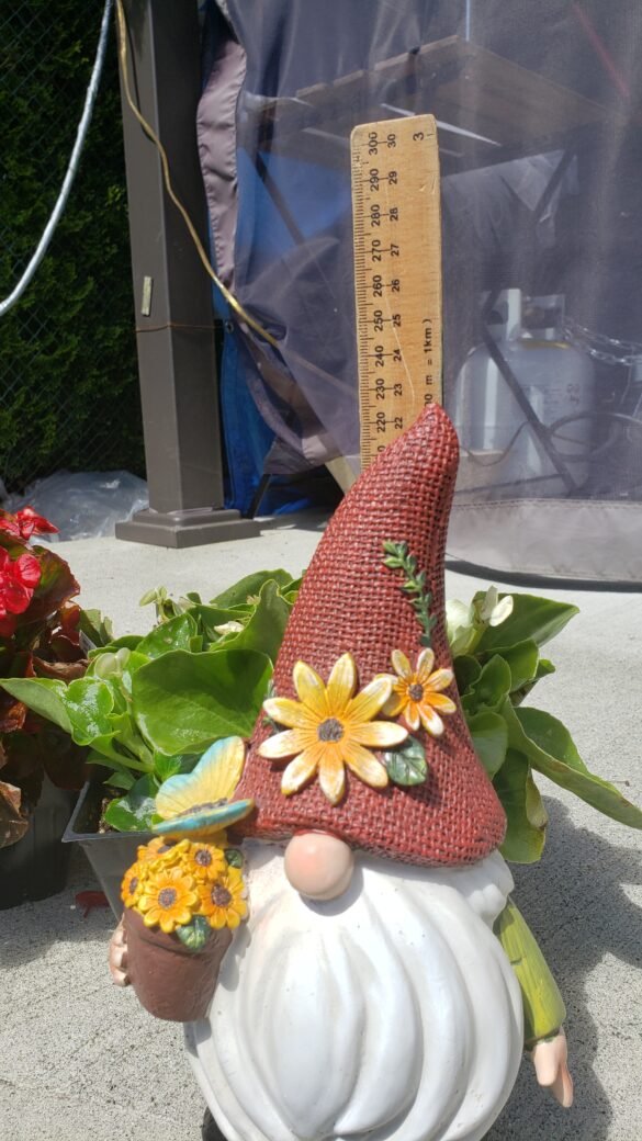 Garden gnome with Sunflower Pot